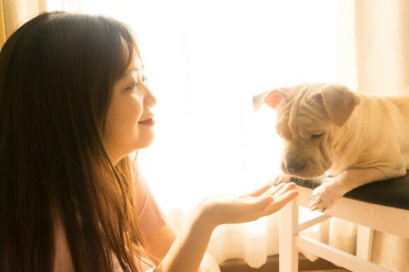Tips-for-Keeping-Your-Pets-Teeth-Clean-and-Healthy
